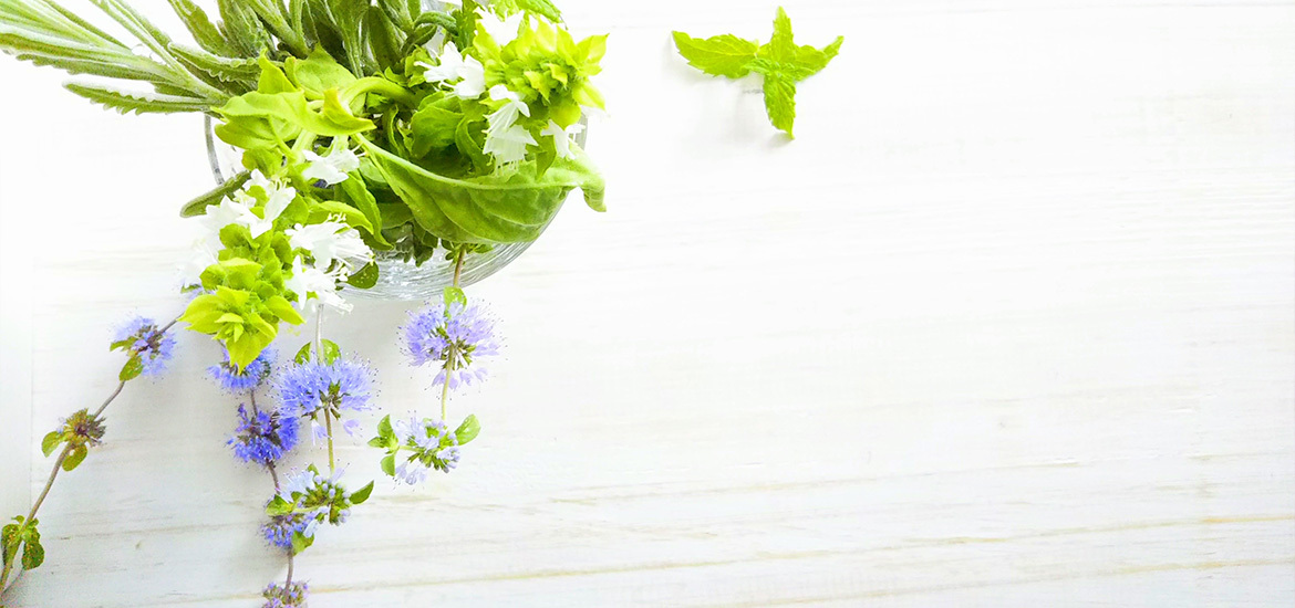 八幡市八幡三本橋 八幡市駅 耳鼻咽喉科